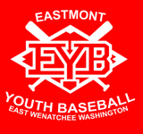 EY basball logo